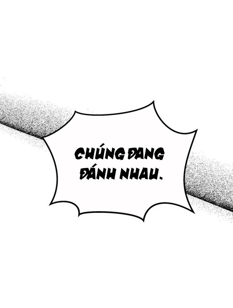 Chị Em Nhà Ki Chapter 12 - 49