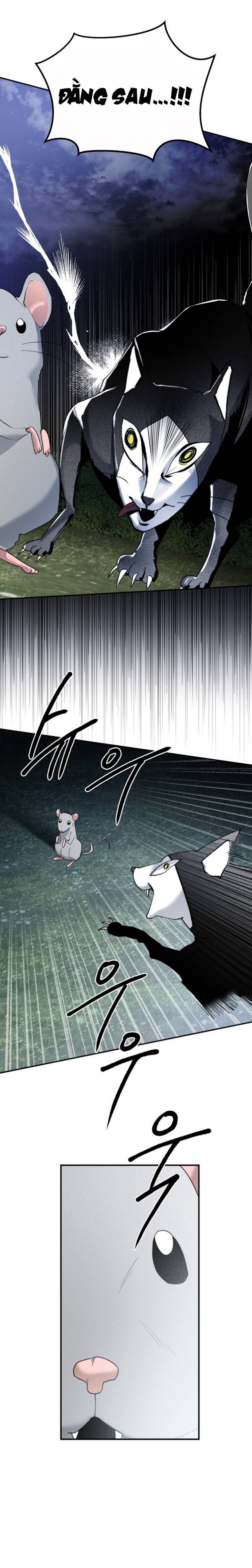 Chị Em Nhà Ki Chapter 12 - 54