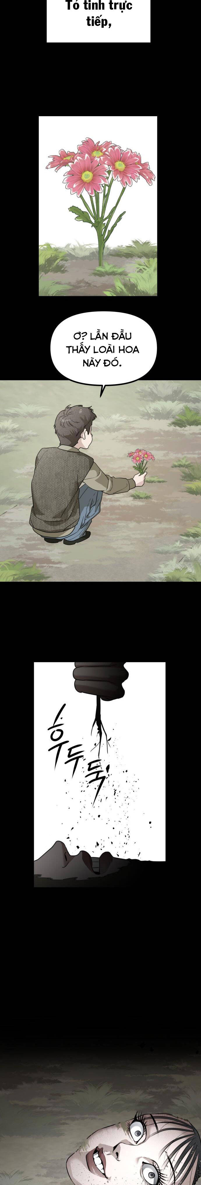 Chị Em Nhà Ki Chapter 40 - 10