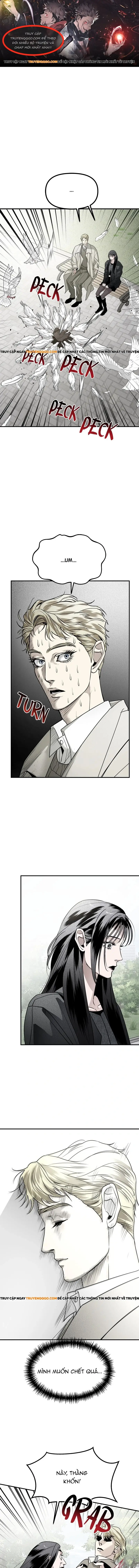 Chị Em Nhà Ki Chapter 48 - 1