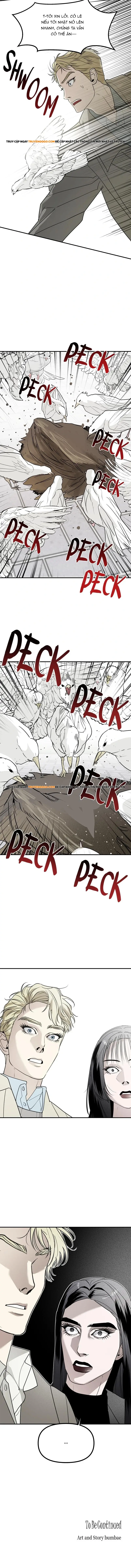 Chị Em Nhà Ki Chapter 47 - 13