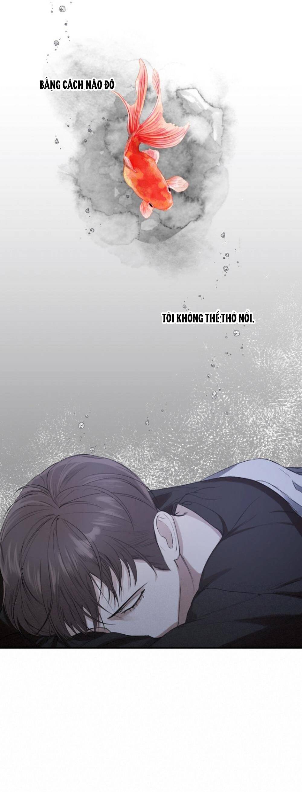 Người Lạ Chapter 10 - 17