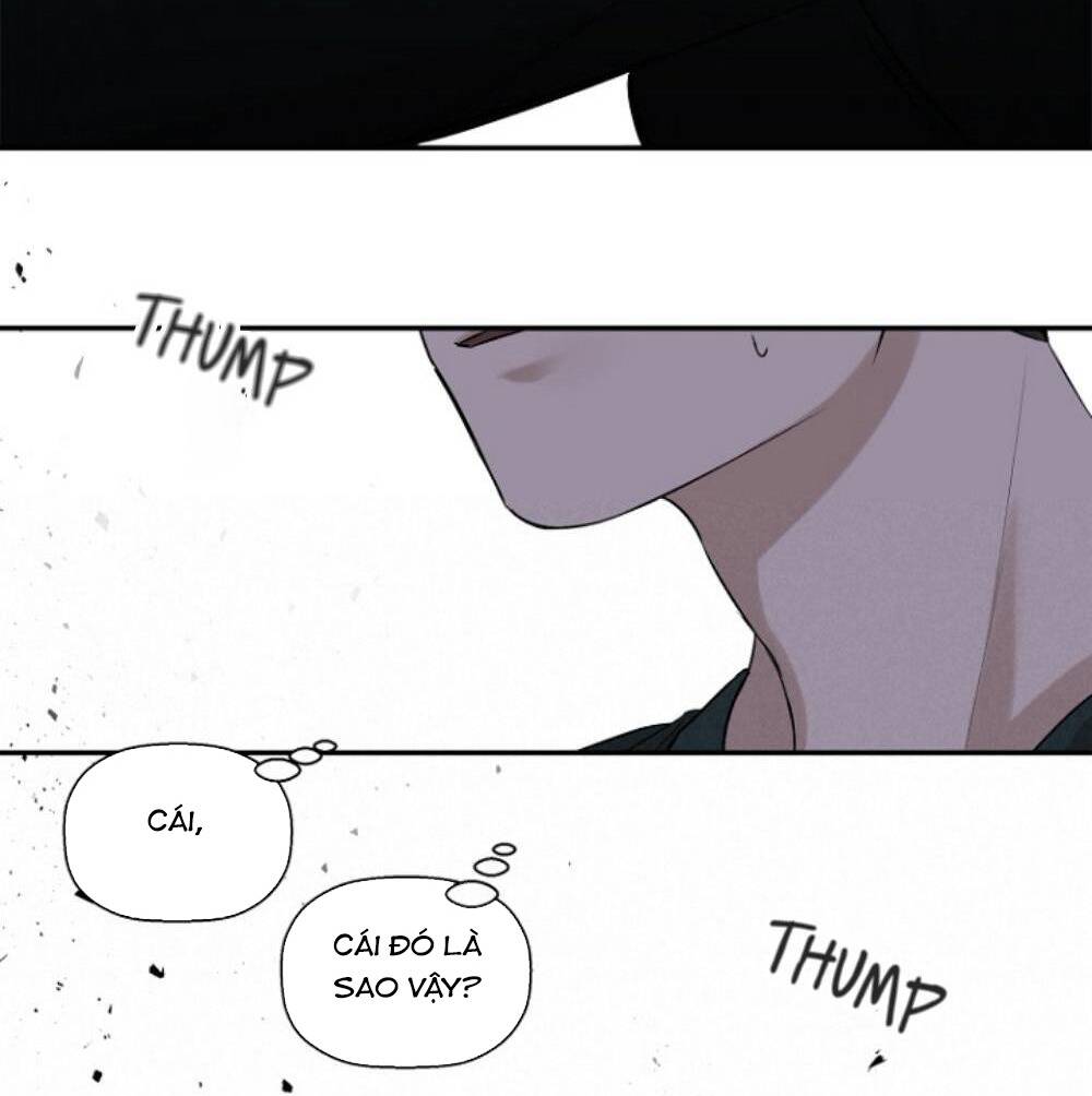 Người Lạ Chapter 11 - 11