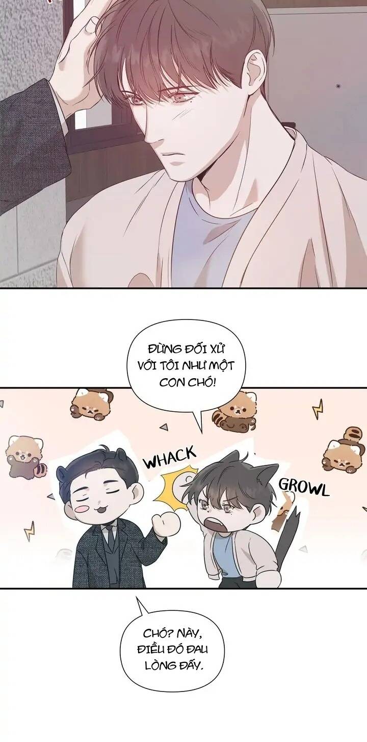 Người Lạ Chapter 28 - 27