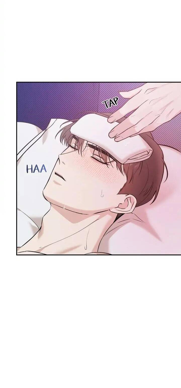 Người Lạ Chapter 44 - 47