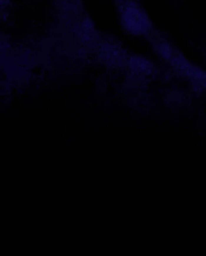 Dấu Vết Mặt Trời Chapter 45 - 46