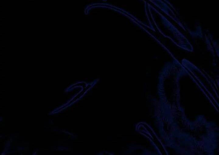 Dấu Vết Mặt Trời Chapter 49 - 51