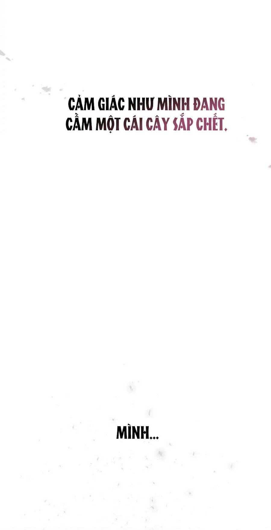 Dấu Vết Mặt Trời Chapter 9 - 25