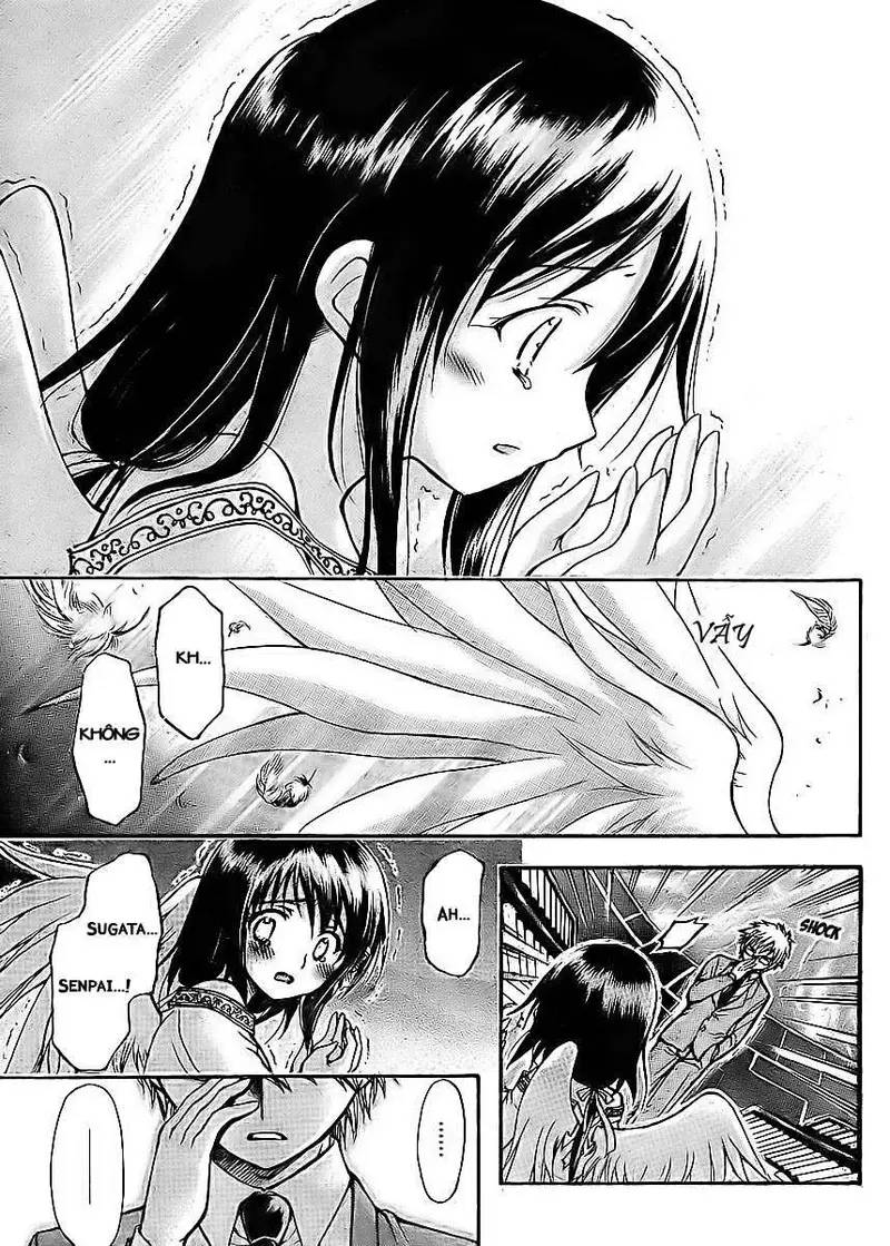 Heaven's Lost Property Chapter 38 - 29