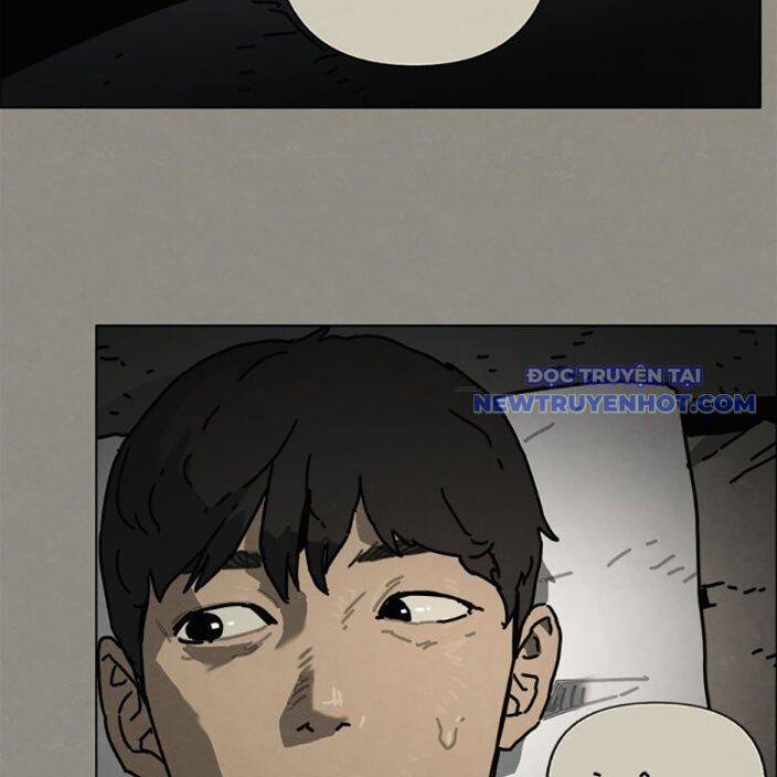 Sinh Vật Gyeongseong: Đóa Hoa Bất Diệt Chapter 38 - 24