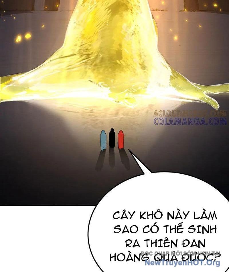 Hóa ra các cô ấy mới là nhân vật chính Chapter 105 - 72