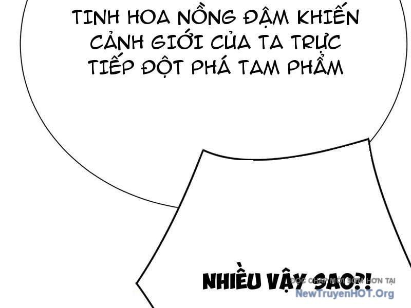 Hóa ra các cô ấy mới là nhân vật chính Chapter 113 - 84