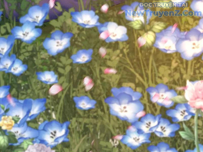 Hóa ra các cô ấy mới là nhân vật chính Chapter 84 - 34