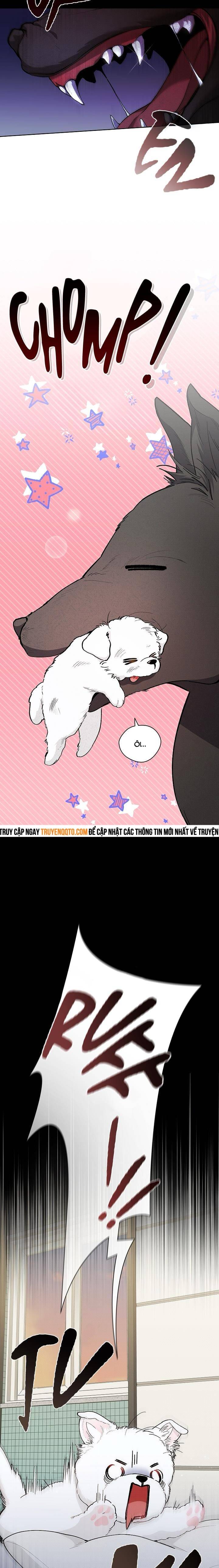 Đừng Đùa Với Cún Con Chapter 1 - 5
