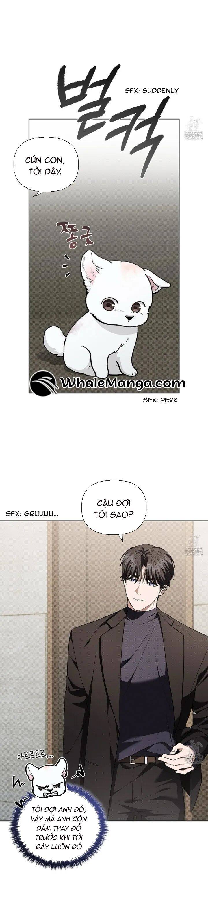 Đừng Đùa Với Cún Con Chapter 12 - 7