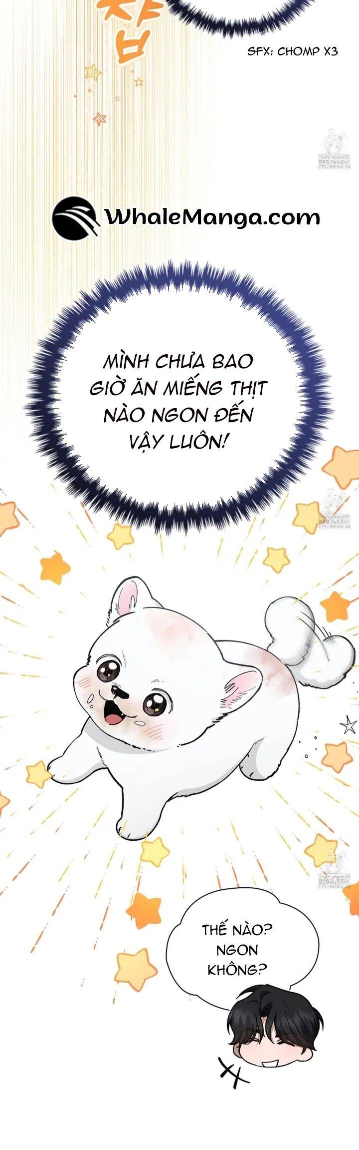 Đừng Đùa Với Cún Con Chapter 12 - 27