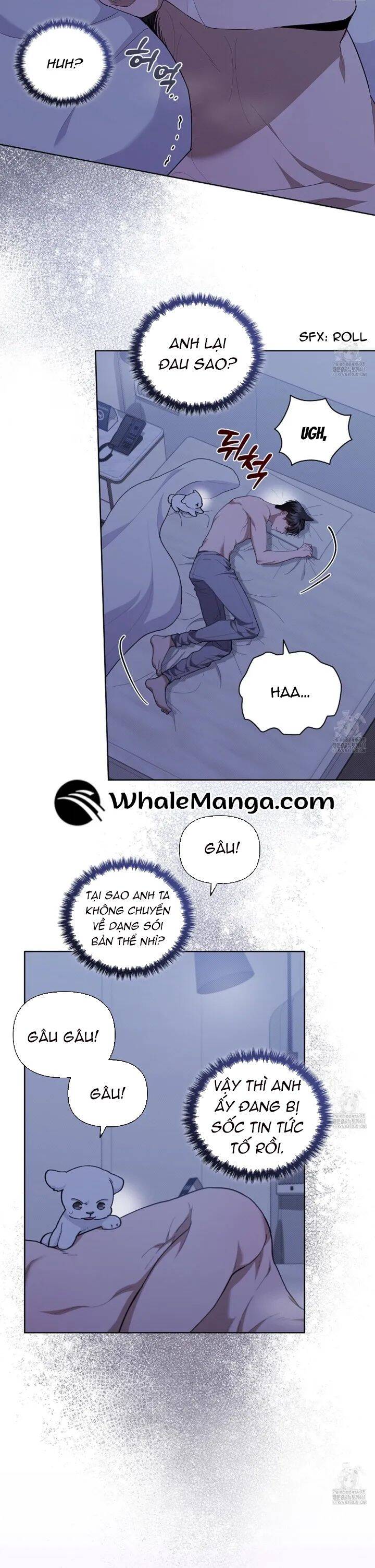 Đừng Đùa Với Cún Con Chapter 12 - 37