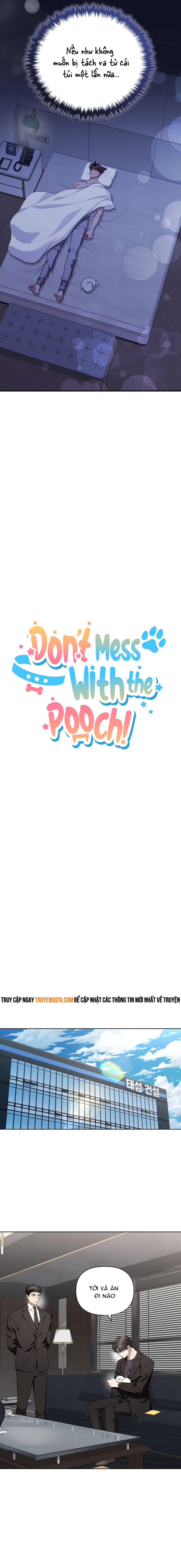 Đừng Đùa Với Cún Con Chapter 13 - 6