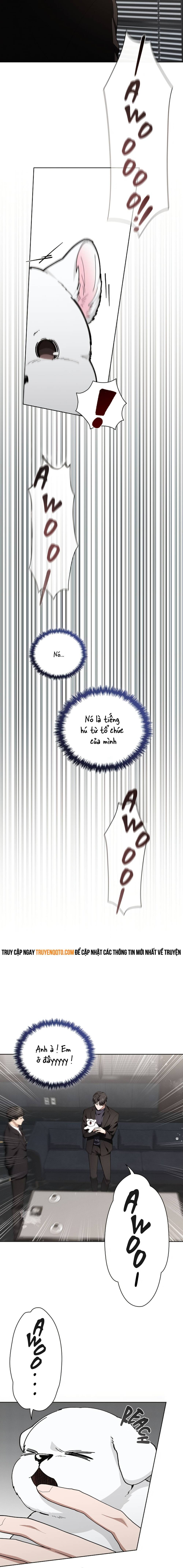 Đừng Đùa Với Cún Con Chapter 13 - 10