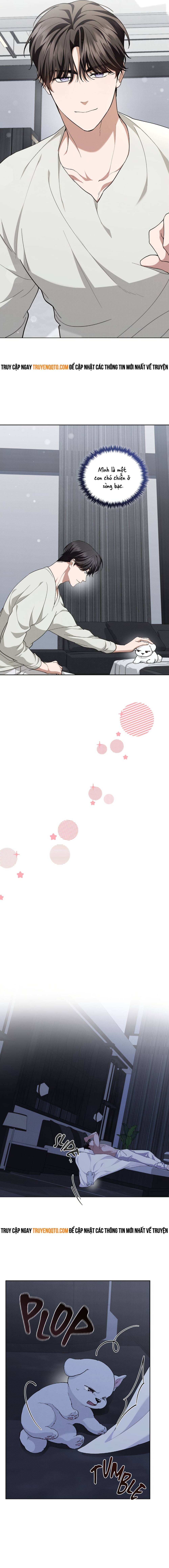 Đừng Đùa Với Cún Con Chapter 13 - 15