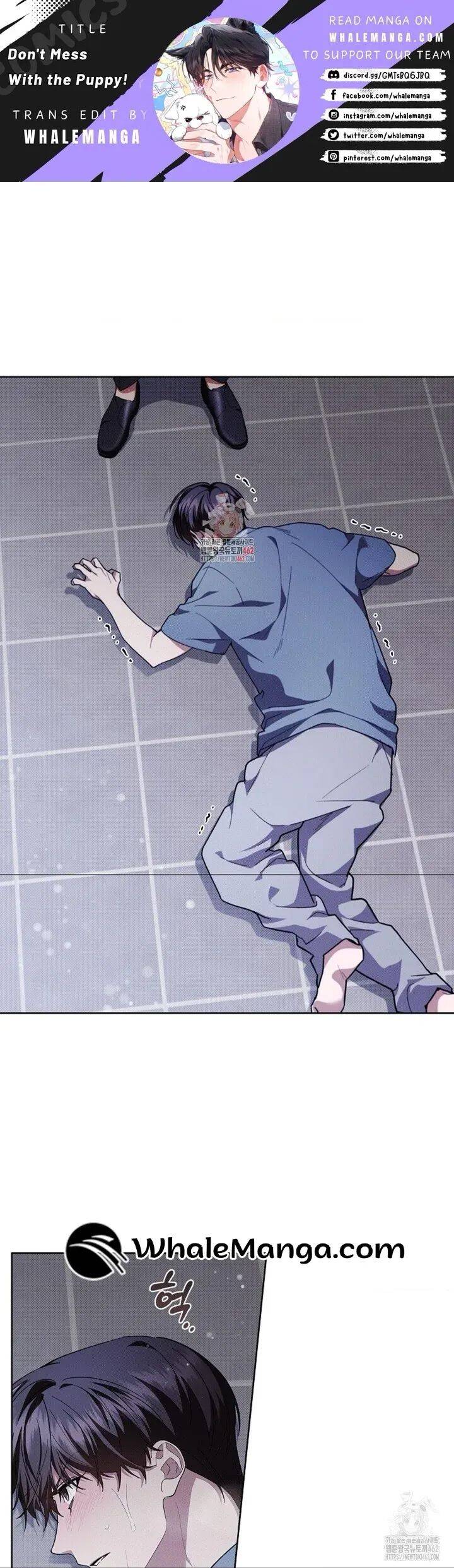 Đừng Đùa Với Cún Con Chapter 15 - 2