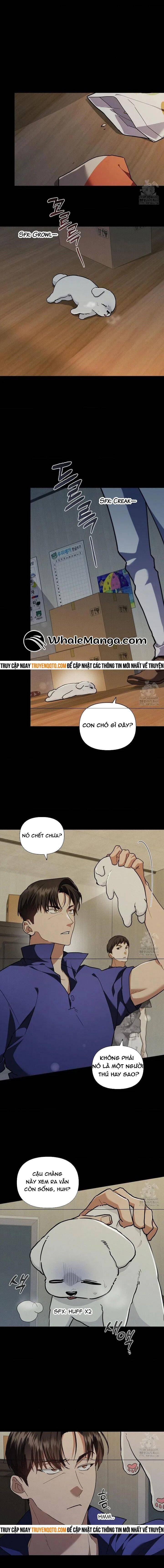 Đừng Đùa Với Cún Con Chapter 16 - 4