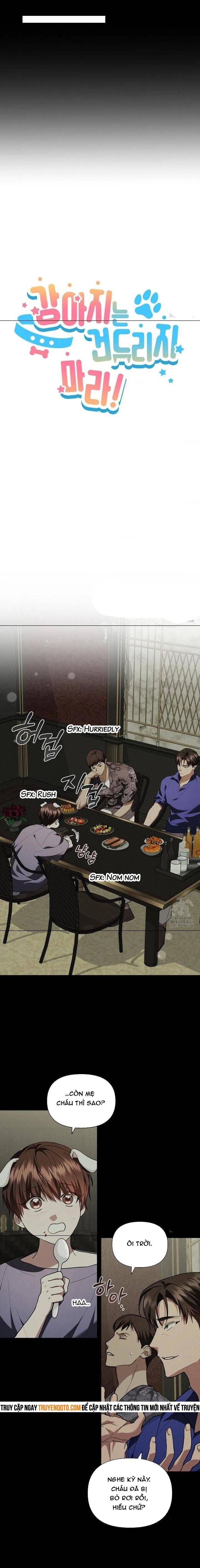 Đừng Đùa Với Cún Con Chapter 16 - 6