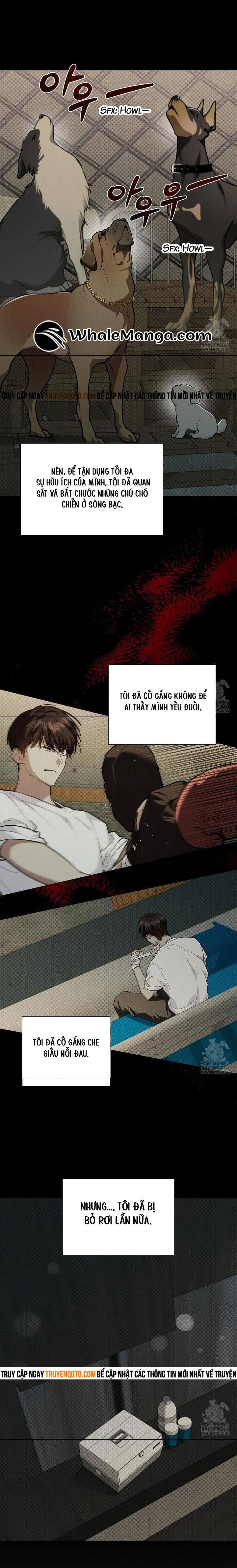 Đừng Đùa Với Cún Con Chapter 16 - 8