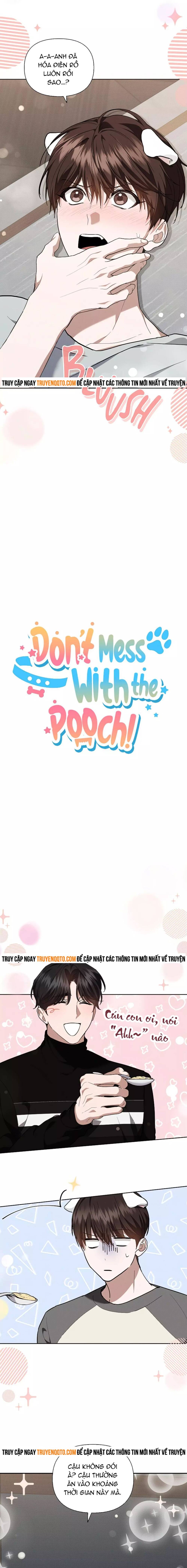 Đừng Đùa Với Cún Con Chapter 17 - 3