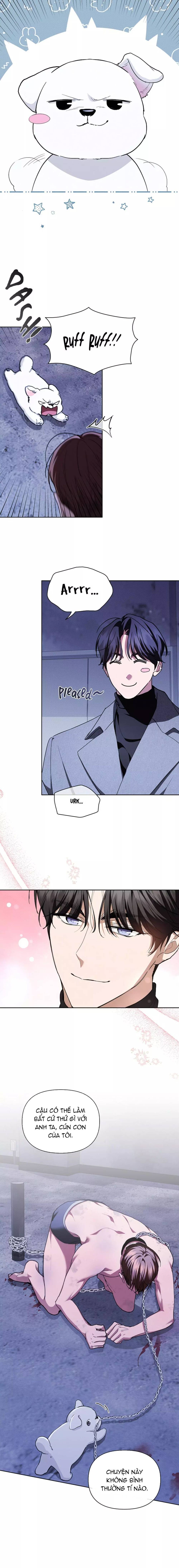 Đừng Đùa Với Cún Con Chapter 17 - 13