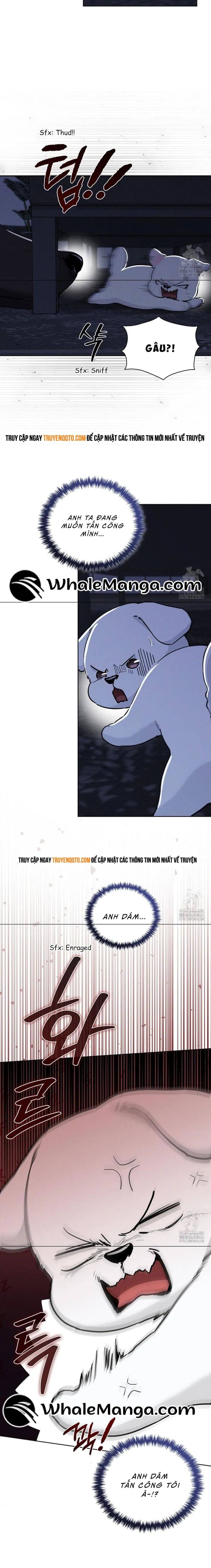 Đừng Đùa Với Cún Con Chapter 19 - 11