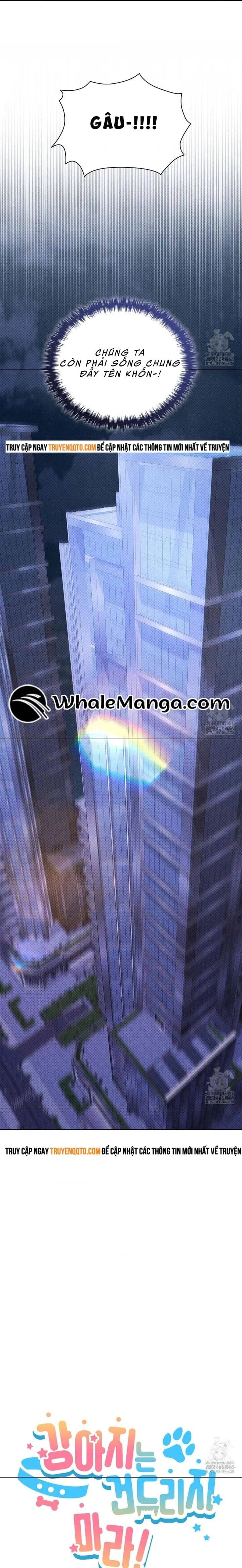 Đừng Đùa Với Cún Con Chapter 19 - 12