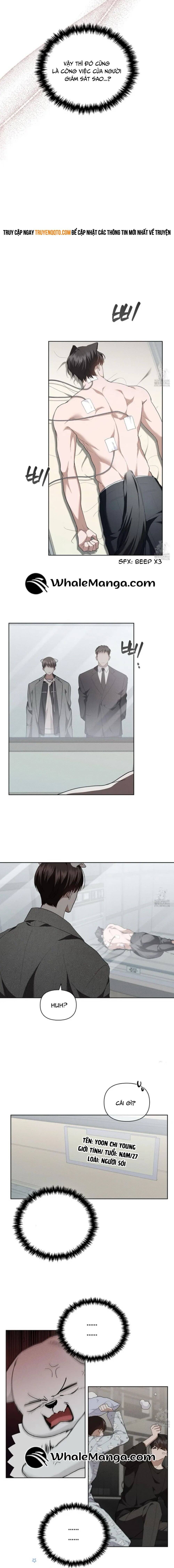 Đừng Đùa Với Cún Con Chapter 20 - 16