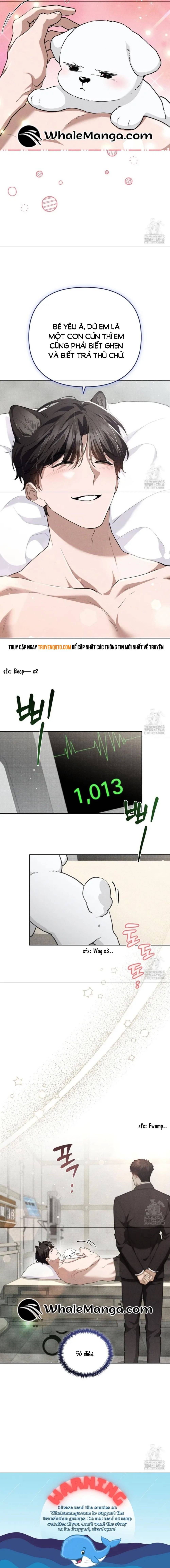 Đừng Đùa Với Cún Con Chapter 21 - 8