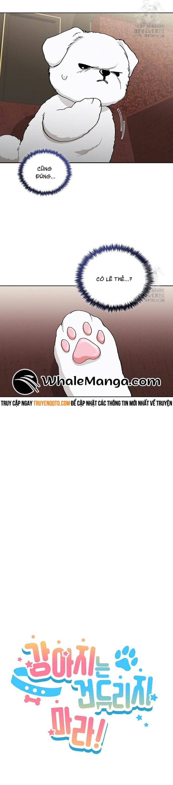 Đừng Đùa Với Cún Con Chapter 2 - 8