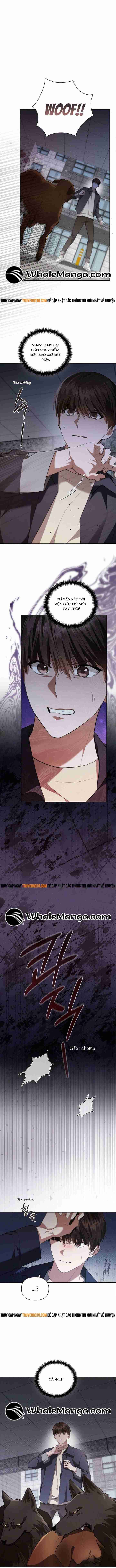 Đừng Đùa Với Cún Con Chapter 24 - 2