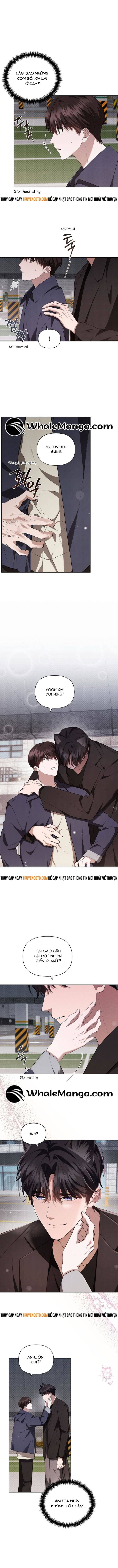 Đừng Đùa Với Cún Con Chapter 24 - 3