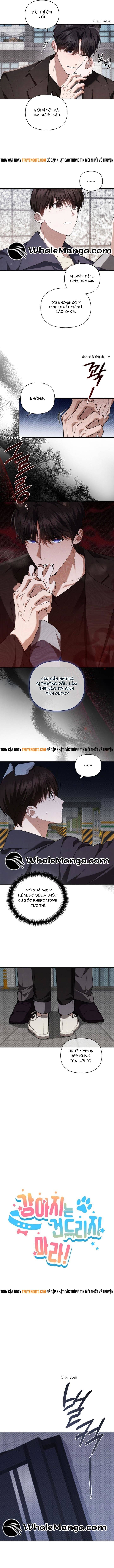 Đừng Đùa Với Cún Con Chapter 24 - 4