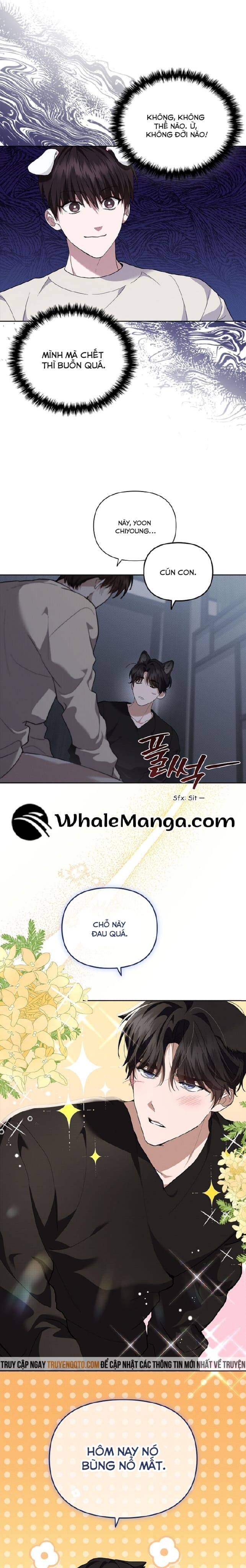 Đừng Đùa Với Cún Con Chapter 25 - 8