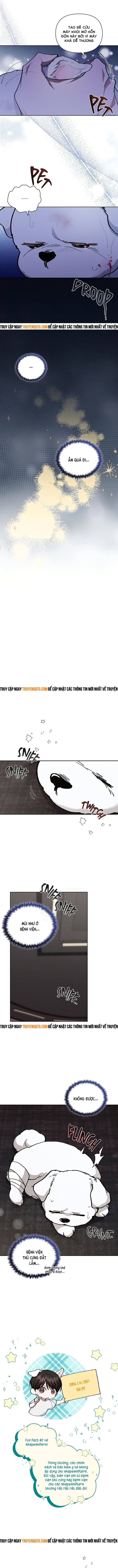 Đừng Đùa Với Cún Con Chapter 3 - 17