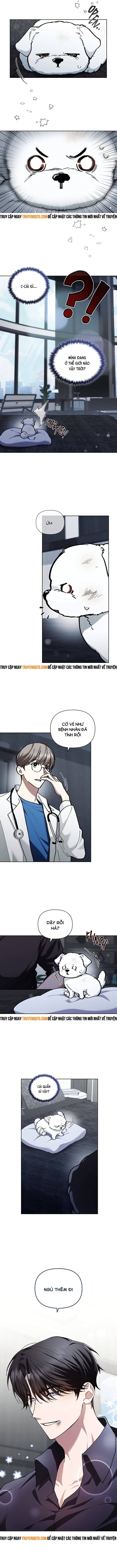 Đừng Đùa Với Cún Con Chapter 3 - 18