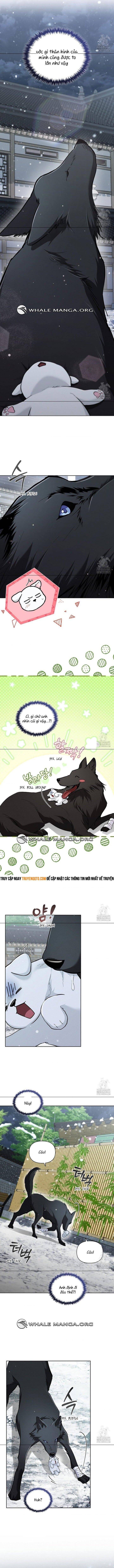 Đừng Đùa Với Cún Con Chapter 34 - 4