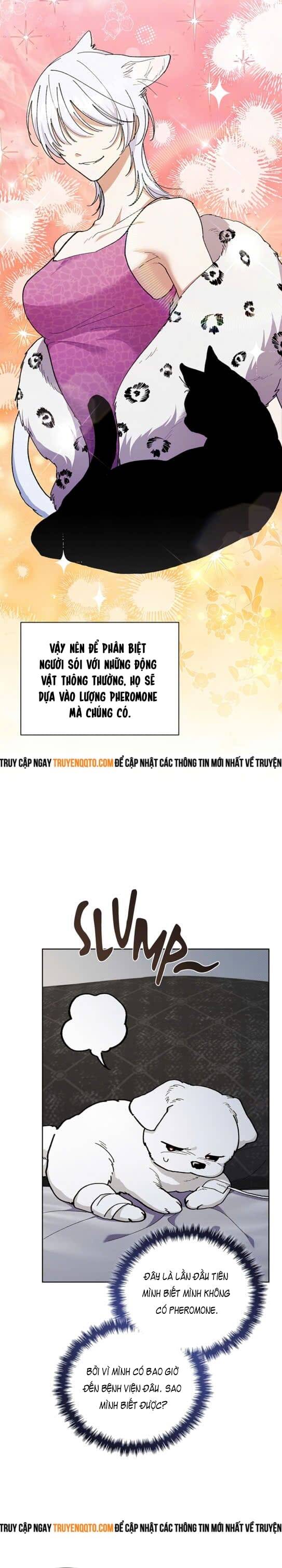 Đừng Đùa Với Cún Con Chapter 4 - 4