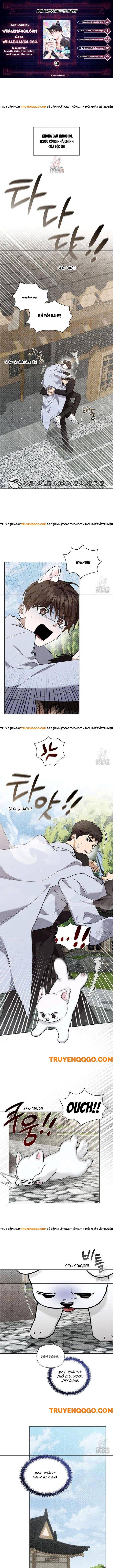 Đừng Đùa Với Cún Con Chapter 40 - 2
