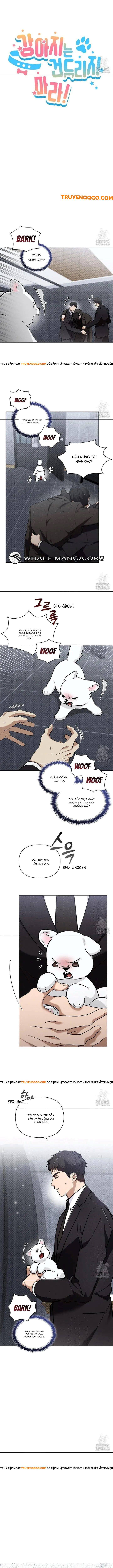 Đừng Đùa Với Cún Con Chapter 40 - 3