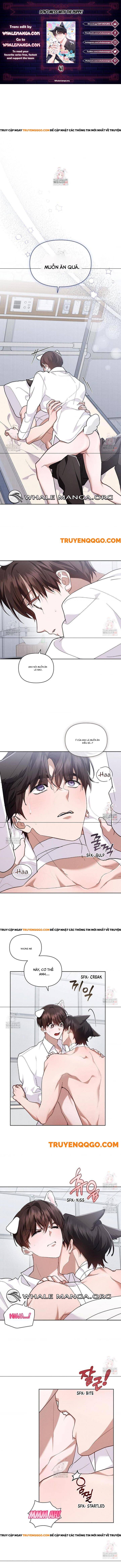 Đừng Đùa Với Cún Con Chapter 41 - 2