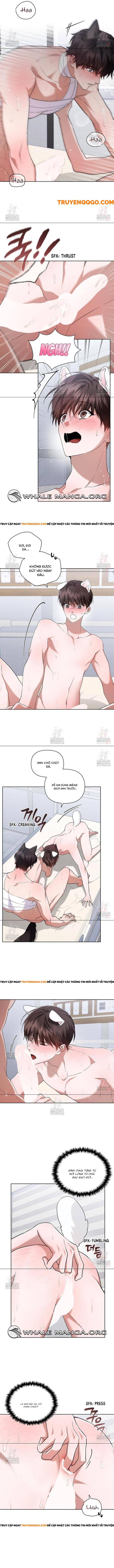 Đừng Đùa Với Cún Con Chapter 41 - 6