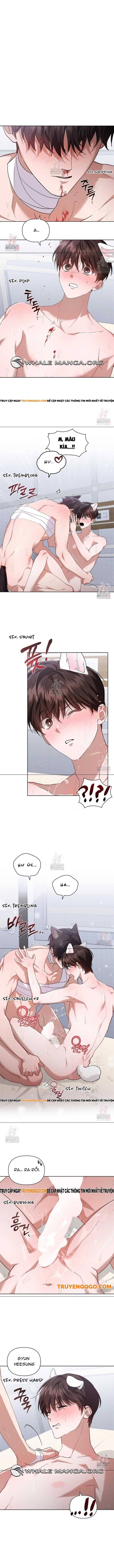 Đừng Đùa Với Cún Con Chapter 42 - 2