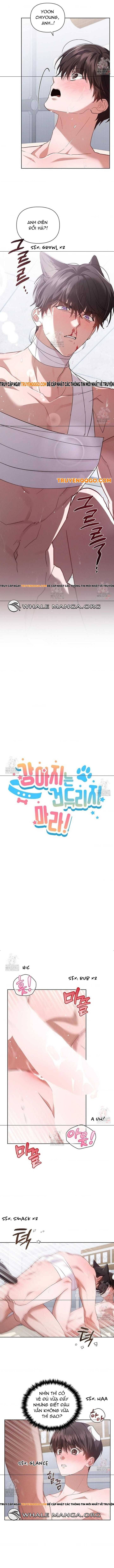 Đừng Đùa Với Cún Con Chapter 42 - 3