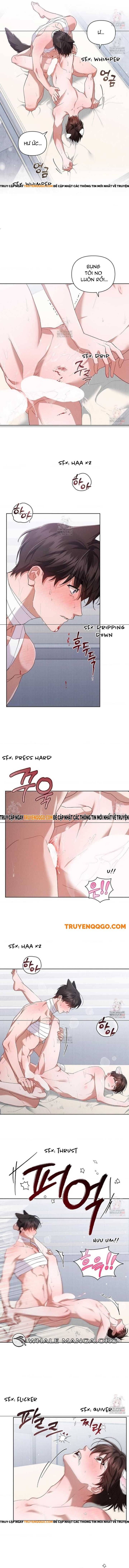 Đừng Đùa Với Cún Con Chapter 42 - 5